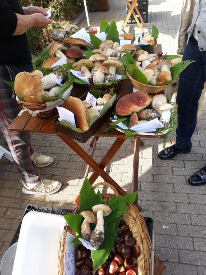 Giaveno, Apartment "Margherite" A Pochi Passi Dal Centro, Wifi Buitenkant foto